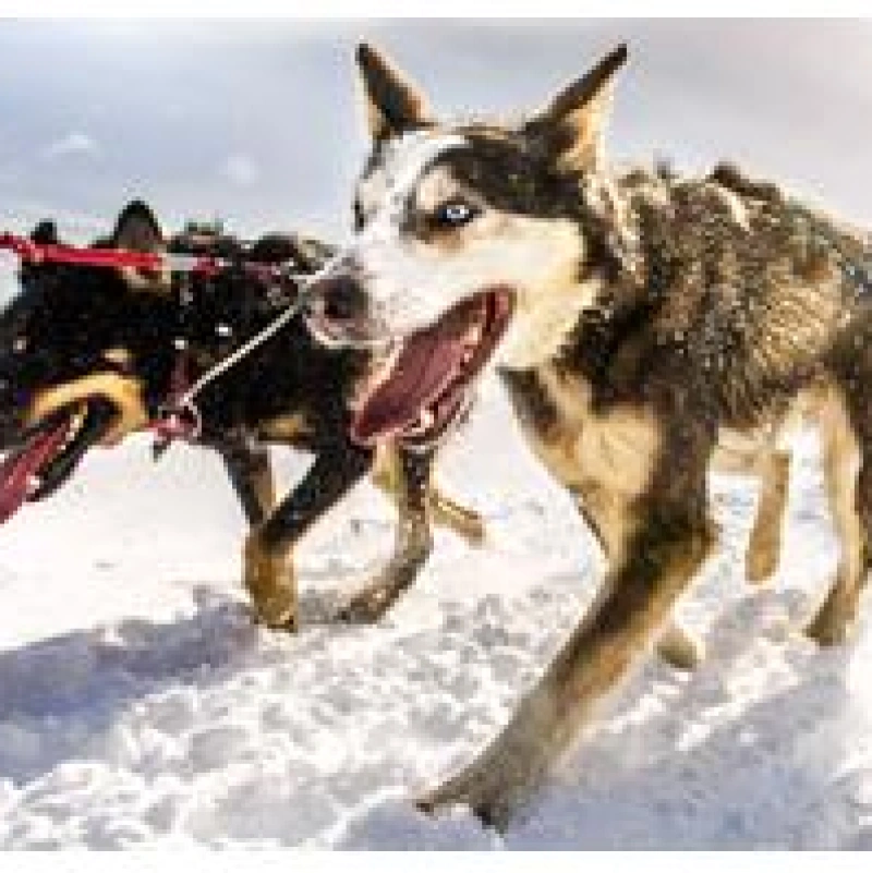 Fjällräven Polar 2013 