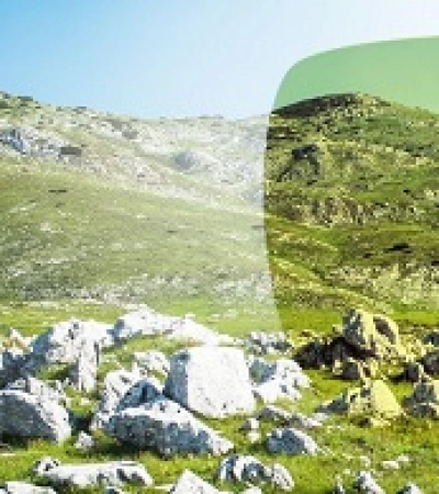 Julbo SHIELD M Reactiv 2-4 DL