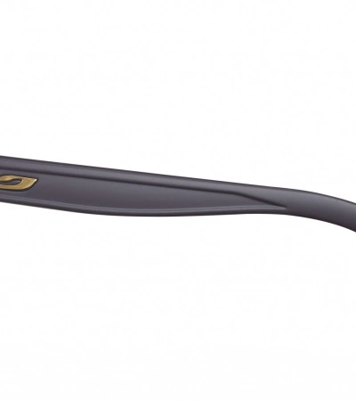 Julbo RENEGADE M Spectron 3