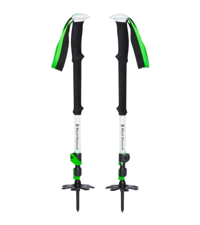 Black Diamond EXPEDITION 3 SKI POLES