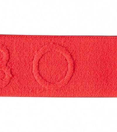 Julbo SPACELAB spectron 3 