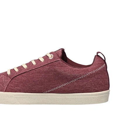 Saola CANNON CANVAS W