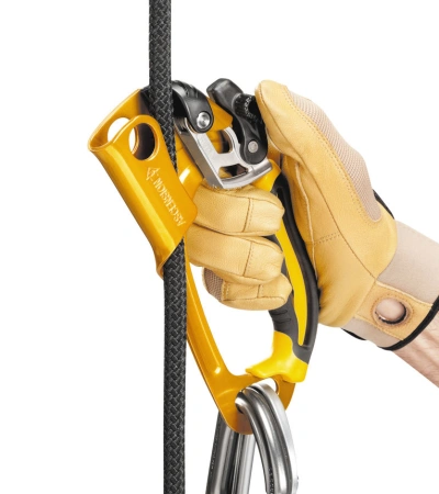 Petzl ASCENSION