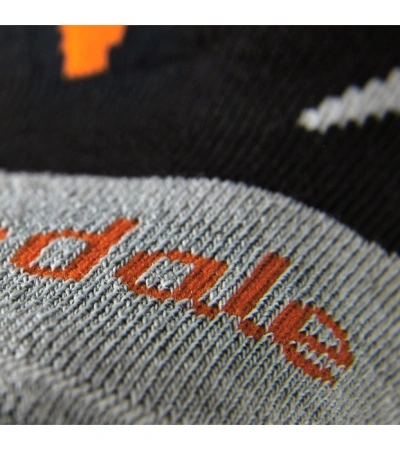 Bridgedale SKI NORDIC RACE