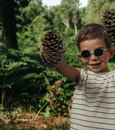 Julbo WALK spectron 3 