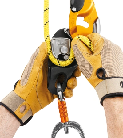 Petzl RIG