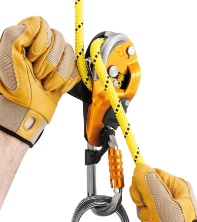 Petzl RIG