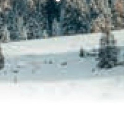 Julbo INTENSITY reactiv 0-3 HC