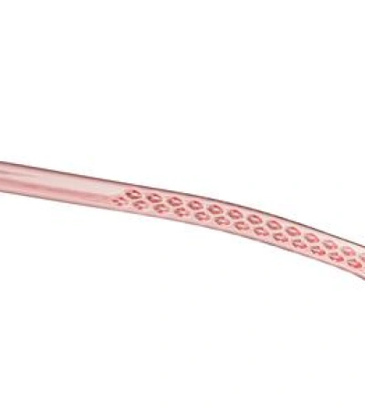 Julbo CANYON spectron 3 CF 