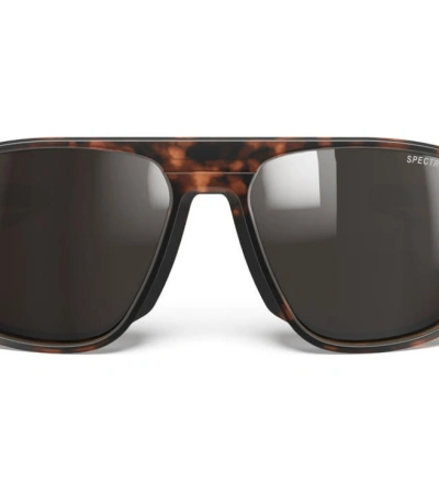 Julbo WARD Spectron 3 polarized