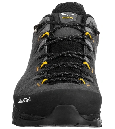 Salewa ALP TRAINER 2 GTX