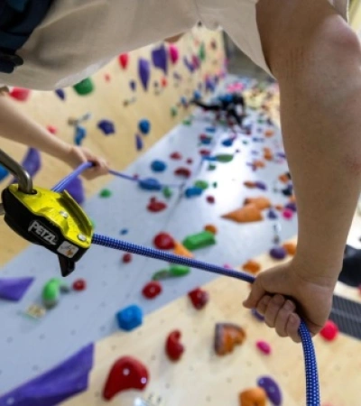 Petzl GRIGRI + 2026