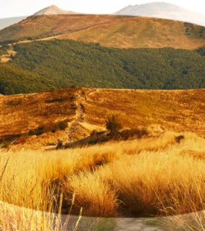 Julbo PUZZLE spectron 3+ white/pink