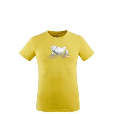 Millet BOULDER DREAM TS SS