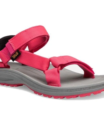 Teva W WINSTED SOLID